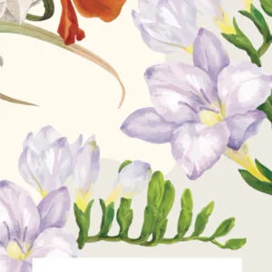 Campo de Frésia - Refil equipamento e difusor 500ml - Imagem 1